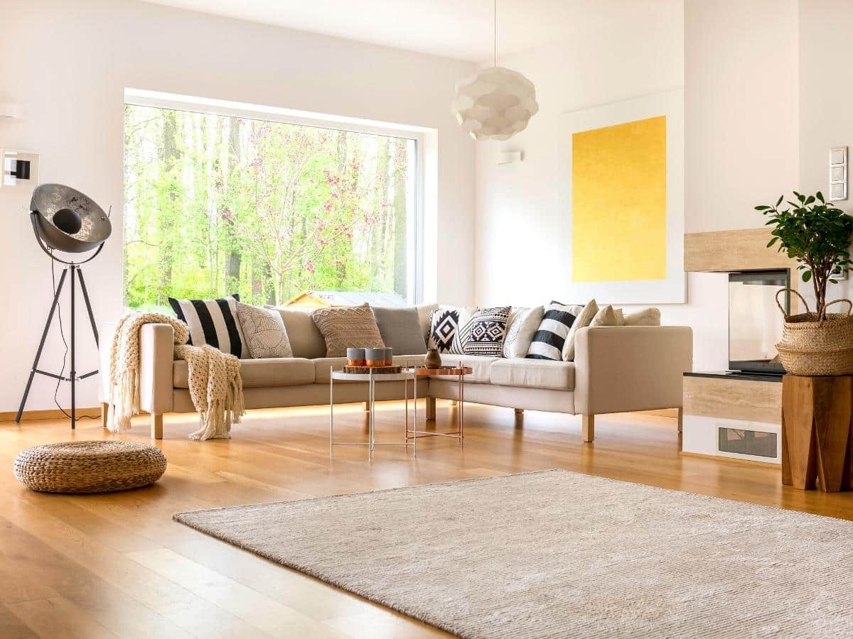 Styled living Rooom with carpet and beige sofa